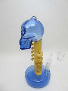 Blue and yellow skull rig